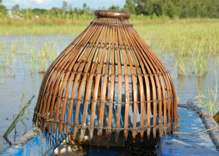 How to make a bamboo fish trap