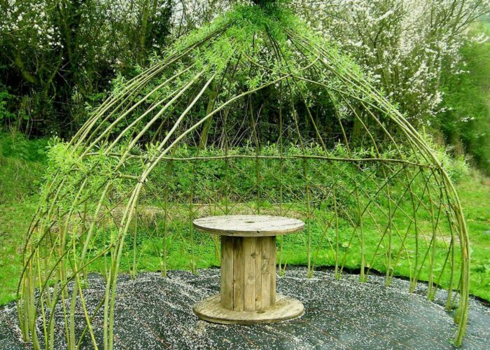 How to make a living willow structure, dome, arbor