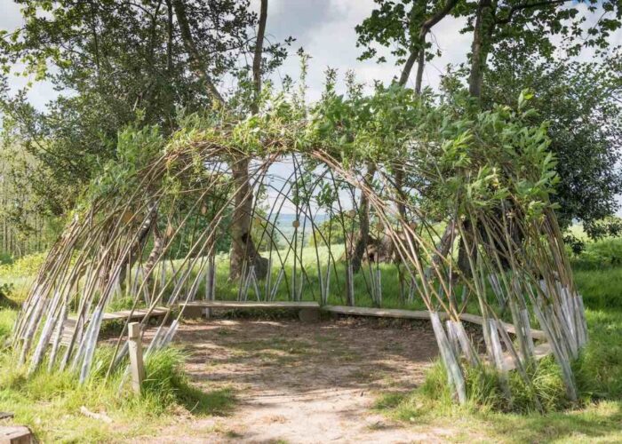 How to make a living willow structure, dome, arbor
