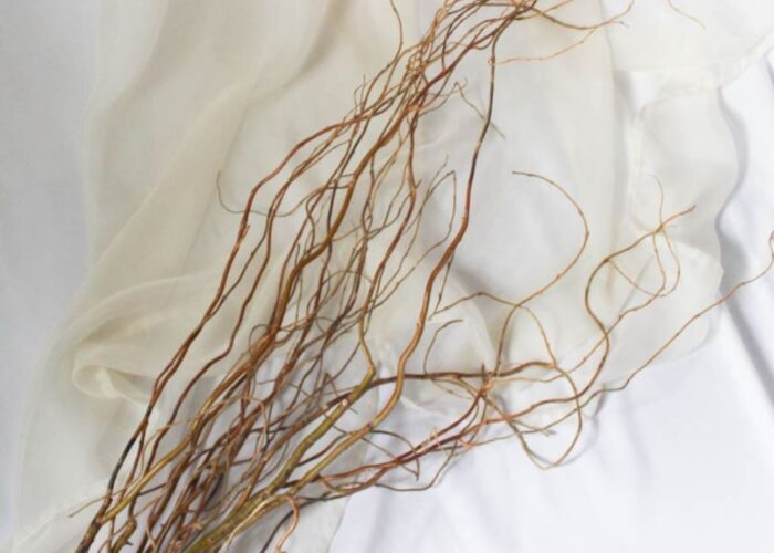 How to weave a willow crown, Gather soft and flexible willow branches