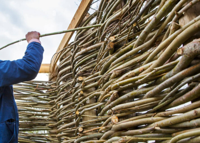 How to make a willow fence