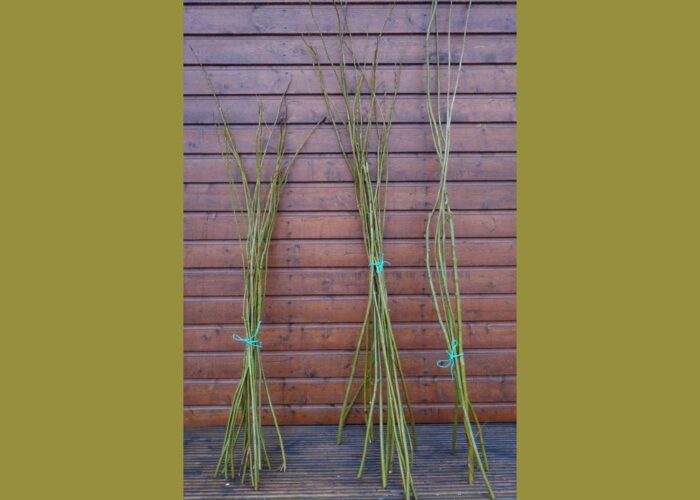 Preparing the willow branches for making