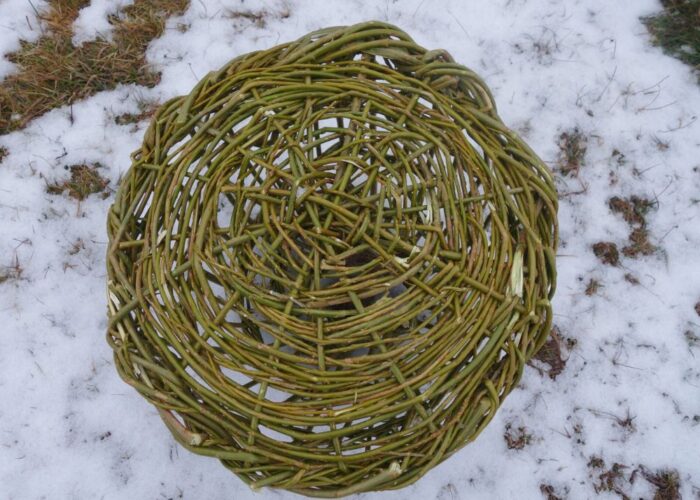 Finishing the willow lobster pot