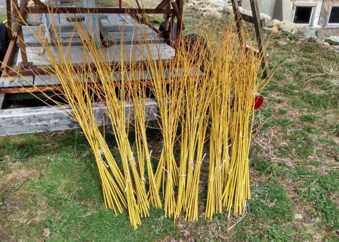 Collect flexible willow branches of varying lengths