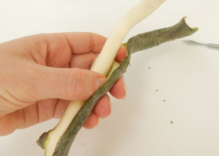 How to make willow drawing artis charcoal how to make willow charcoal