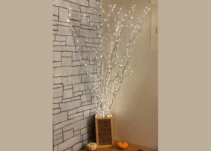 Decorating With Curly Willow Branches Ideas