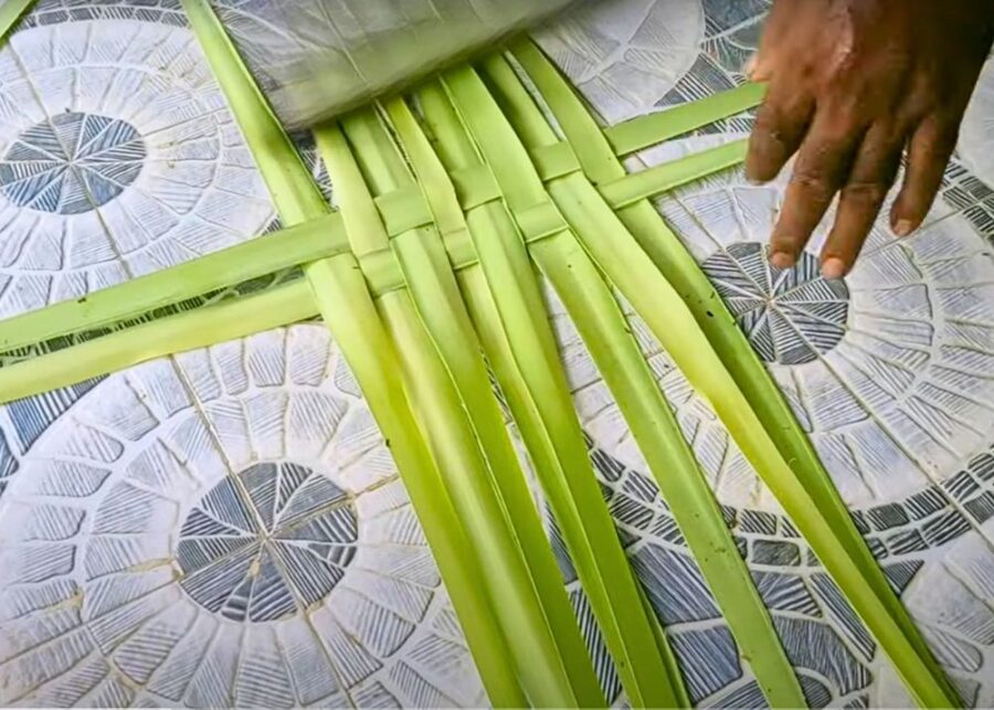 How to Weave a Basket with Palm Leaves/Fronds Step by Step?