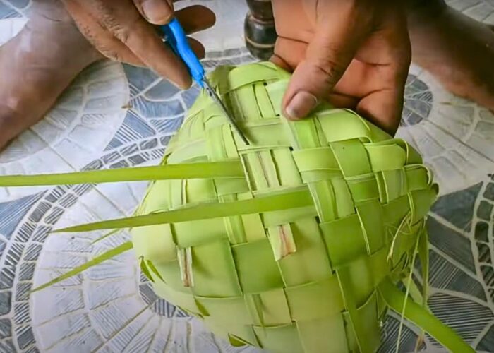 How to weave a basket with palm leavesfronds step by step
