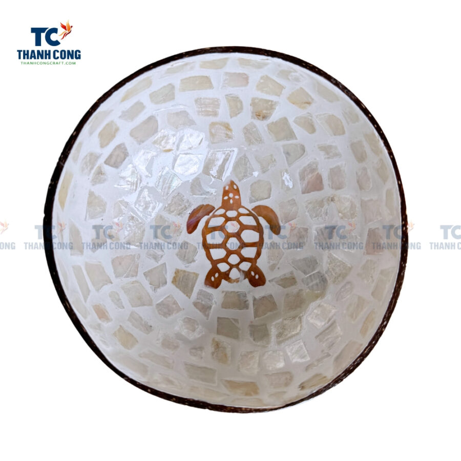 Sea Turtle Coconut Bowl
