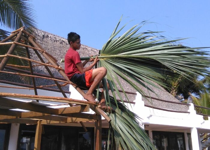 How to make thatch roof with palm fronds?