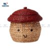 Mushroom Hyacinth Basket (TCBDA-24076)