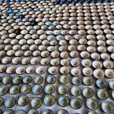 Coconut Bowls Hawaii Wholesale (TCCB-22052)