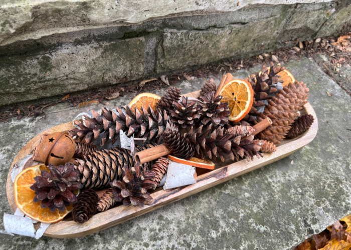 Winter dough bowl ideas 3: Dough bowl with pine cones, birch logs, and dried orange slices