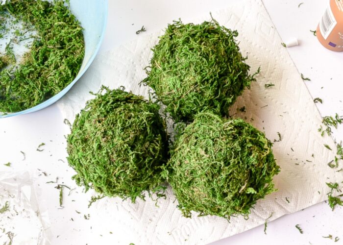 How to make a moss ball home decor