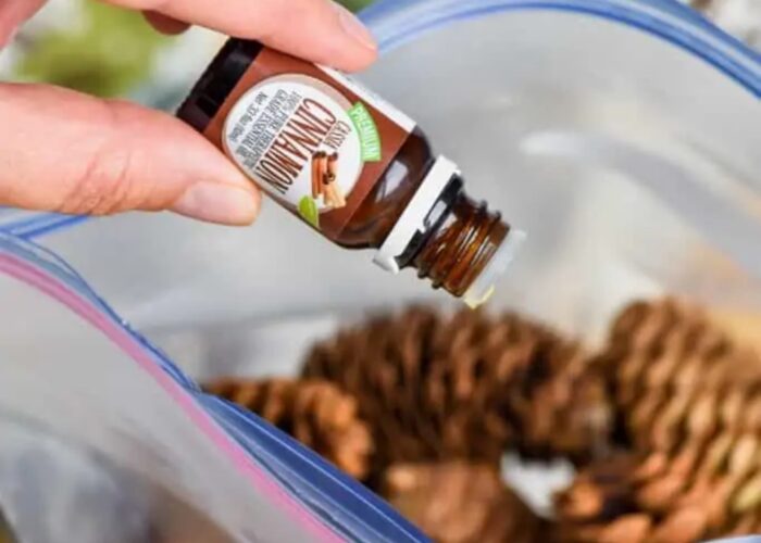 How to make cinnamon scented pine cones for Christmas decorations