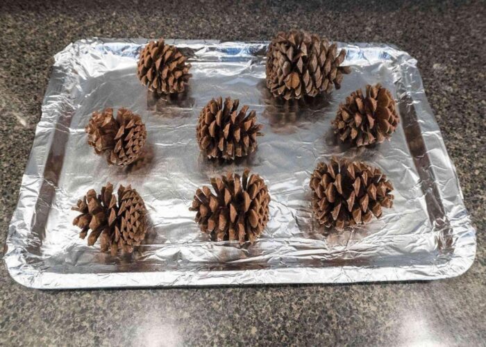 How to make cinnamon scented pine cones for Christmas decorations