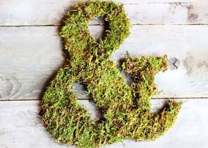 How to make moss covered letters