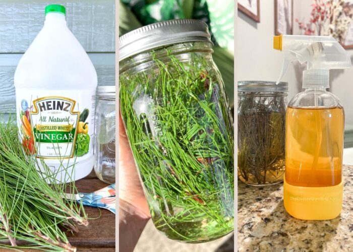 How to make pine needle cleaner, homemade pine sol with vinegar