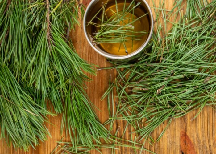 How to make pine needle cleaner, homemade pine sol with vinegar?