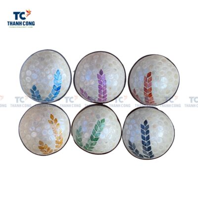 Vietnamese Coconut Shell Bowls (TCCB-24080)