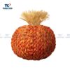 Large Seagrass Pumpkin (TCHD-24475)