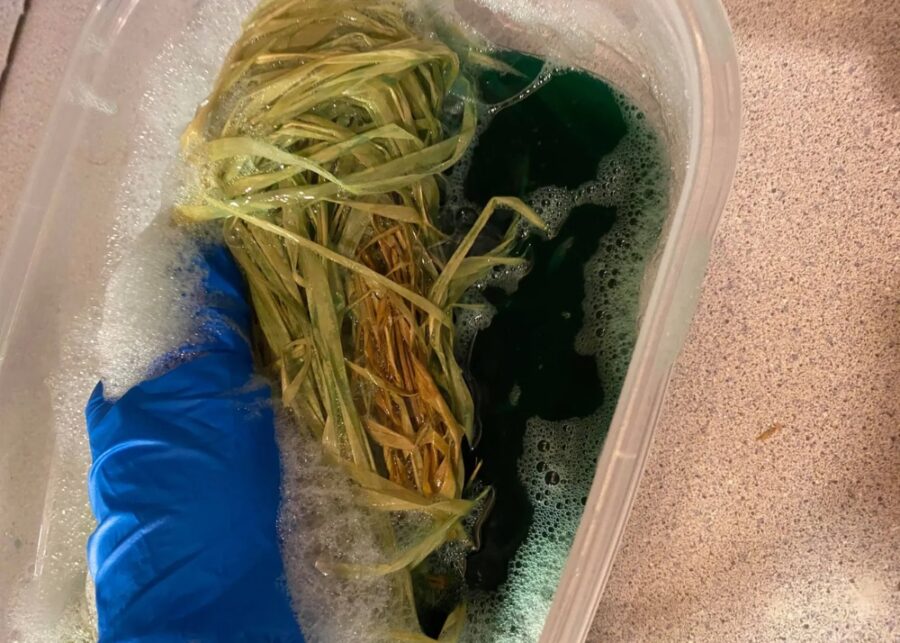 How to dye raffia naturally