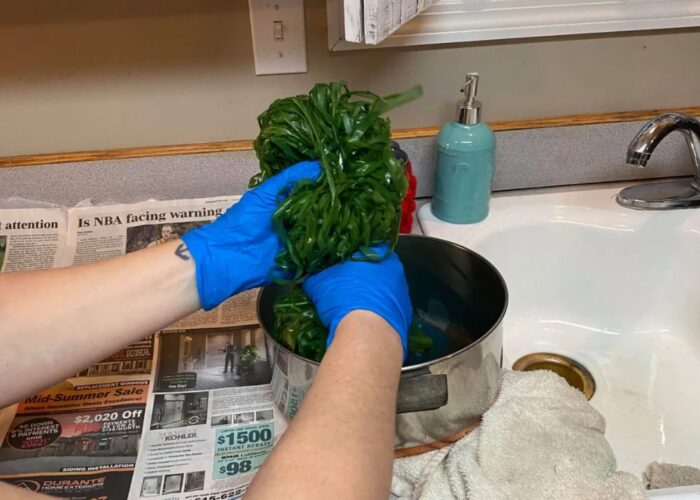 How to dye raffia naturally How to dye raffia naturally