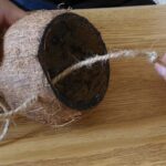 How to make a coconut bird feeder