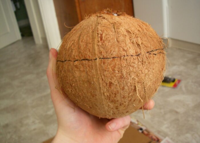 How to make a coconut bird feeder