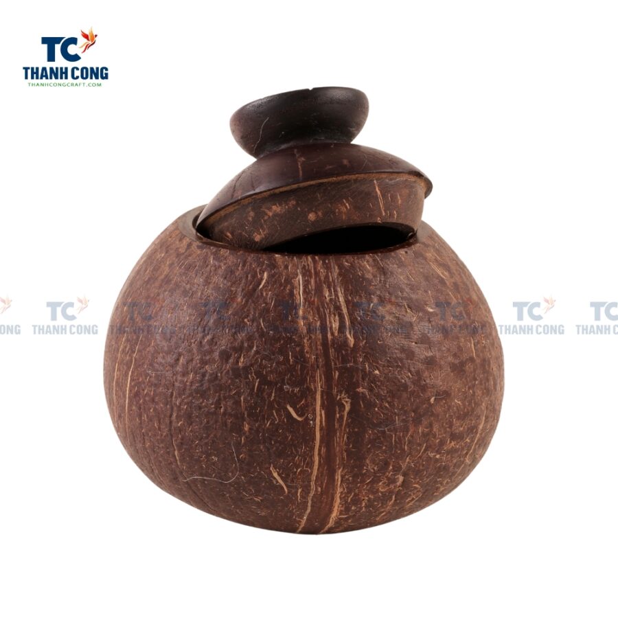 Brown Coconut Shell Container (TCCP-24044)