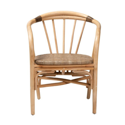 Brown Rattan Dining Chair (TCRCH-8963)