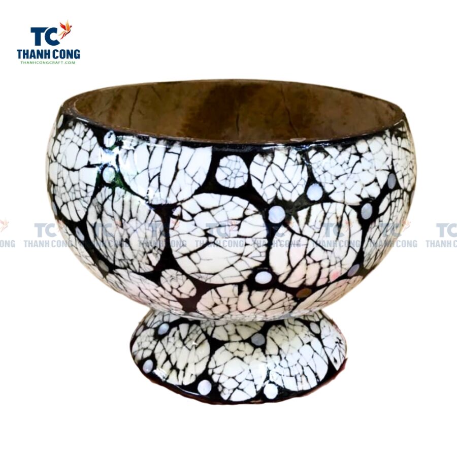 Coconut Shell Planter For Succulents (TCCP-24037)