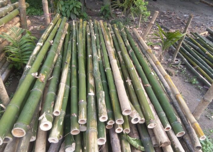 How to make bamboo mulch