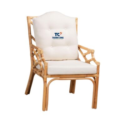 Indoor Rattan Chairs With Cushions (TCRCH-8957)