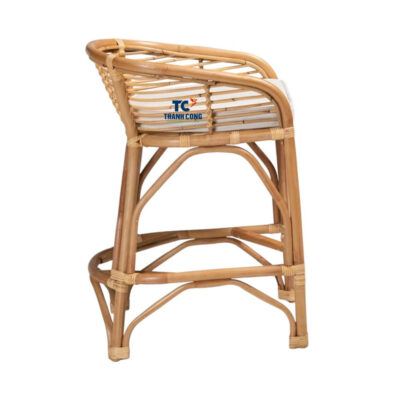 Rattan Lounge Chair Indoor (TCRCH-8956)