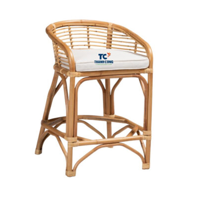 Rattan Lounge Chair Indoor (TCRCH-8956)