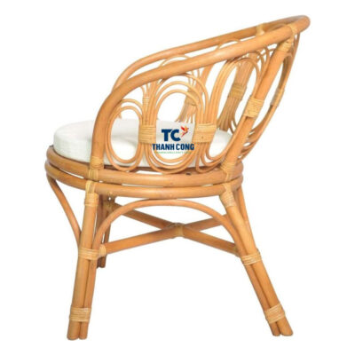 Cheap Rattan Chairs (TCRCH-8999)