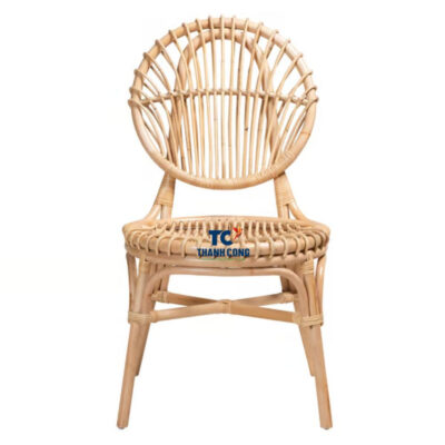 Modern Rattan Dining Chair (TCRCH-8995)