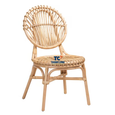 Modern Rattan Dining Chair (TCRCH-8995)