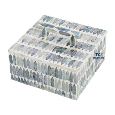 Mother of Pearl Mosaic Storage Box with Handle
