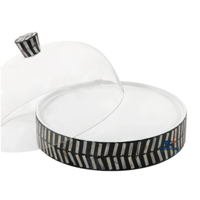 mother of pearl plate with transparent cover