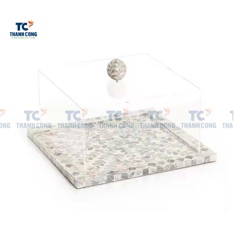 Mother Of Pearl Tray With Acrylic Cover (TCMTR – 9015)