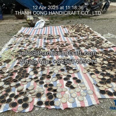 eco friendly mother of pearl coaster with rattan vietnam supplier (3)