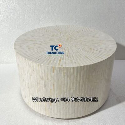 Mother of Pearl Table Souvenir - TCMST 8885