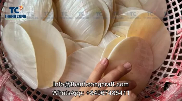 Mother of pearl raw before being processed