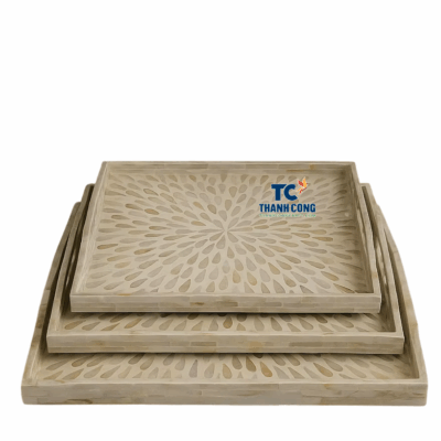 Mother of pearl tray (11)