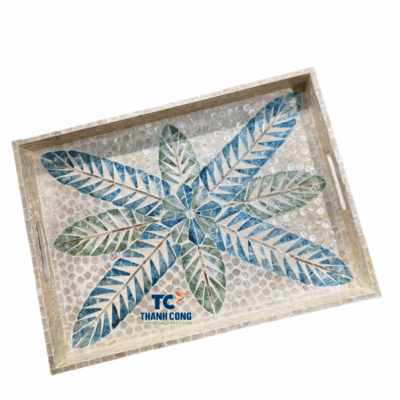 Mother of pearl tray (5)