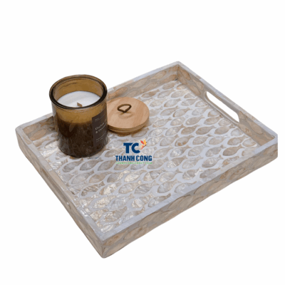 Mother of pearl tray (7)