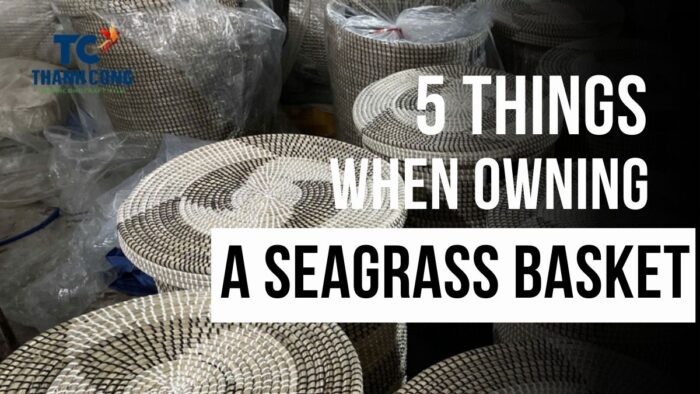 5 things to know when owning a seagrass basket