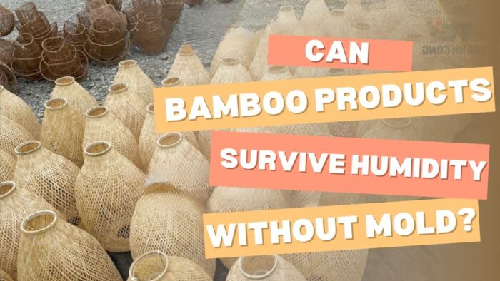 Can Bamboo Products Survive Humidity Without Mold